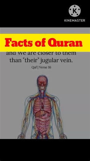 "Quran Facts That Shocked Scientists | Amazing Islamic Facts from the Holy Quran"