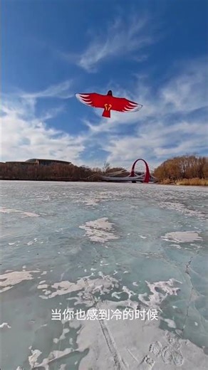 eagle shape red kite