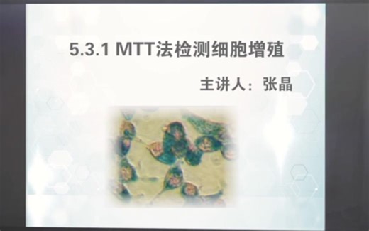 MTT实验及数据分析