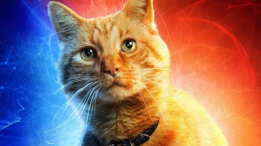 The 25 Best Movie Cats, Ranked