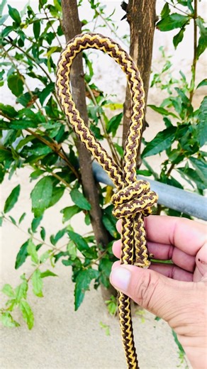 Loop knot tutorial #knot #shorts