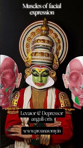 Muscles of facial expression: Karunam #facialexpressions #anatomy #kathakali #medicaleducation