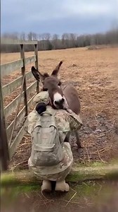 Her Donkey Was Waiting for Her 💛