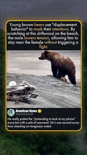 THE DISPLACEMENT BEHAVIOR OF GRIZZLIES