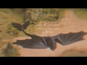 what if toothless never lost his tail fin - httyd au | read desc