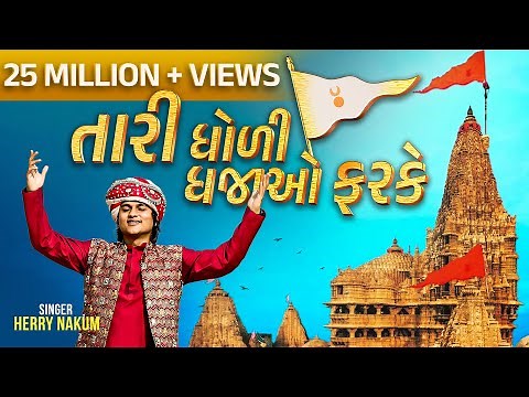 Tari Dholi Dhaja Farke | Herry Nakum | New Gujarati Song 2025 | (Official Music Video)