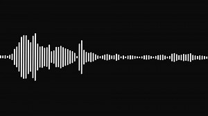 clip-3619160777-white-audio-visualizer-on-black-background-music