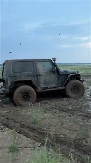 Stuck in the Wilderness? Off-Roading Survival Tips Inside