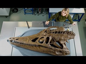 7 Incredibly Well-Preserved Prehistoric Fossil Discoveries!