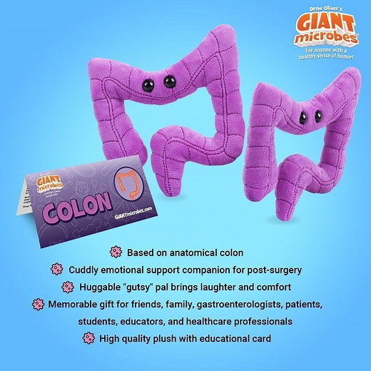 Giantmicrobes Colon Plush, Get Well Gifts, Colon Cancer Awareness, Anatomical Organ Plush, Biology Gifts, IBS Warrior, Intestine Plush - Etsy