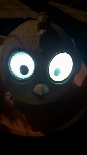 die Augen von piep piep