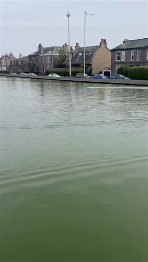 42K views · 801 reactions | Bluebird K7 | Dundee Model Boat Club | Facebook