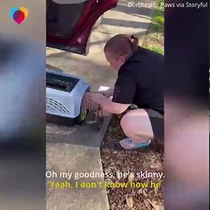 This 18-year-old dog named Binky went missing three years ago. A shelter found him in South Carolina and a volunteer drove him all the way home to Georgia, where he and his owner had a tearful reunion. | The Uplift