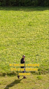 Field full of Cowslip. thanks to George Cooper for telling me about this place. | Get Wild