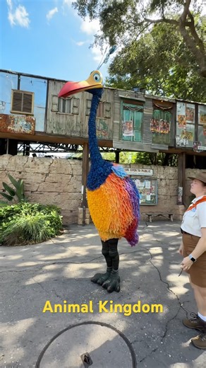 Disney Kevin Pixar UP Interacting With Guest at Animal Kigdom #shorts