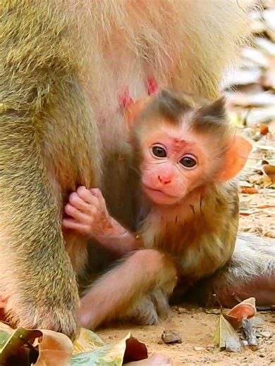 Relaxing Healing Stress, Anxiety and Depressive States, Heal Mind, Body and soul