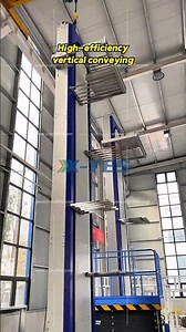 Customized Vertical Conveyor System | Industrial Material Handling Solution #materialhandling
