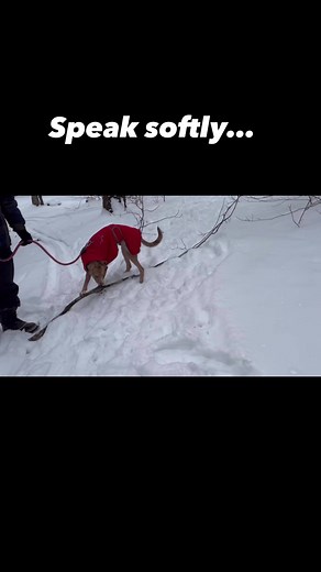 20K views · 392 reactions | Cecily Tynan on Reels | Facebook