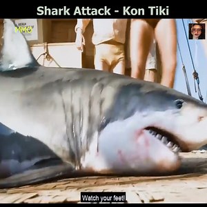 150K views · 985 reactions | BEST NEW FILM NETFLIX 2021 | Greg Blake & Hometown | Facebook