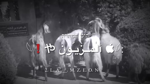 ﴿ســـوقي ظـ؏ــنكي سسوقيهن …♪#هرهر #كل_عام_وانتم_بخير #مصمم_فيديوهات🎬🎵 #العيد #الناصره_الشامخه👑🦅