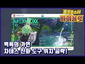[포켓몬스터 바이올렛 DLC] 공략! 차데스 진품/가품 진화 도구 위치 공략! (걸작찻잔,범작찻잔)