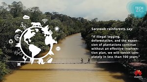 4.8K views · 277 reactions | Let’s finish up #BiodiversityDay in Malaysia’s Sarawak rainforest! Join us & learn about the fight against illegal logging & habitat loss to build a shared future for all life! Read more: https://tinyurl.com/2hkdmpny #WhattheEarthSays #Tech4ABetterPlanet #TECH4ALL | Huawei | Facebook