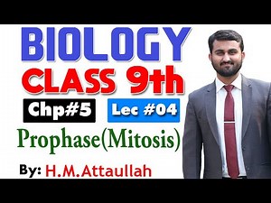 Prophase | Mitosis | Smart syllabus | Chapter 5 | 9th class Biology | ALP | Lec 4