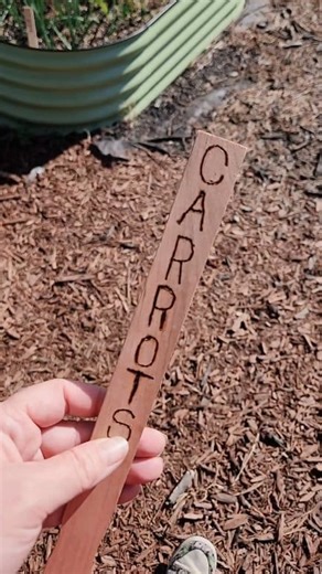 242 reactions · 23 shares | Wood burning tool + paint sticks = plant labels for the garden. These should last longer than sharpie on plastic labels. +when these labels are no longer able to be used, you can compost them. #gardeningtips #gardeninspiration #plantlabels #diy #gardeninglife #urbanhomesteading #gardendiy #Gardenlabels #urbanhomestead #growingfood #growyourownfood | Ellie Bagwell | Facebook