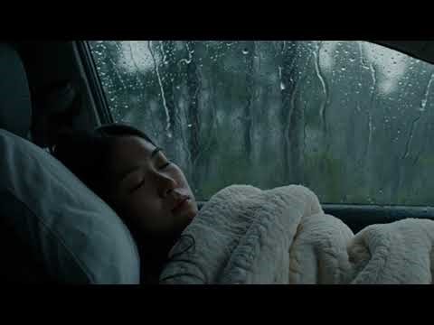 Sleep Instantly: 97% Fall Asleep to This Rain & Thunder Ambience 💤
