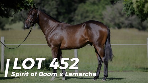 LOT 452