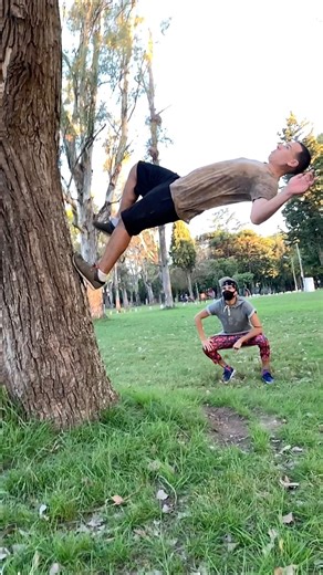5.7M views · 135K reactions | Wall Flip Tutorial  #parkour #acrobatics #flips #capoeira #gymnastics | Alex Destreza | Facebook