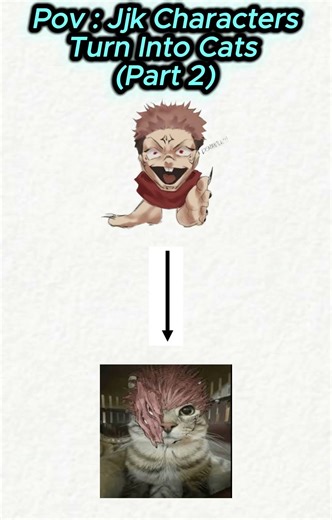 JJK characters turn into cats 😆(Part 02) #memes #pov #anime #funny #jokes #jjk #jujutsukaisen #cat
