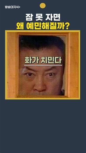 잠 못 자면 왜 사람이 예민해질까? #잠 #수면