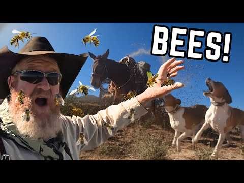 I Got Swarmed by Bees in the Desert… Had to Get Out Fast