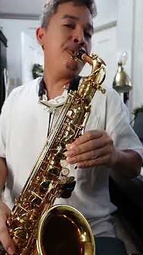 set up and tuning sax a China made sax