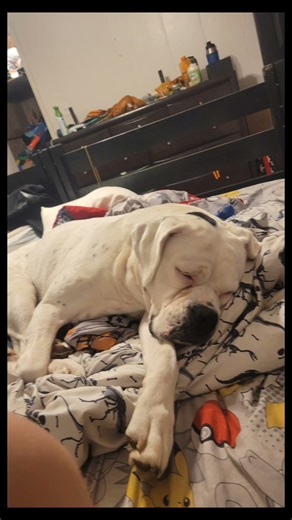 my first exit without using a template don't judge