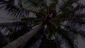 We're all People of the Sun! Hope this video we made with Slightly Stoopid can bring you a moment of warmth! Play it loud! | The Grouch & Eligh