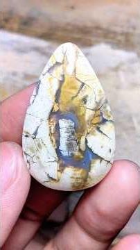 Cabochon Making Process | Petrified Wood #gemstone #cabochon #preciousstones #crystals #agate