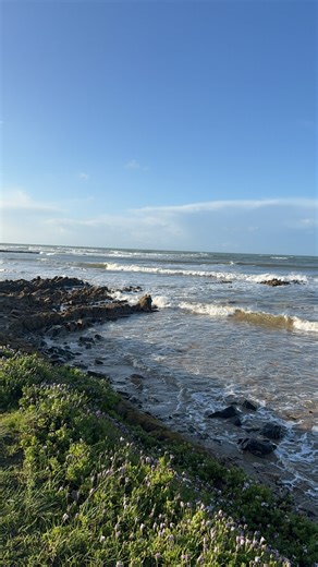 Whitney Hanson on Instagram: "live poetry readings next week: seattle, portland, & santa cruz details on my site❤️"