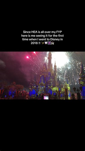 if I could go back to seeing this for the 1st time I’d cry over & over again !! #disney #fyp #happilyeverafter #magickingdom #gothedistance