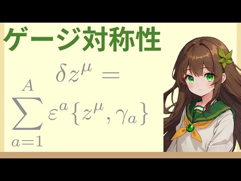 General theory of gauge symmetry