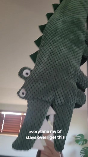 Mr. Croc is always on a mission 🐊