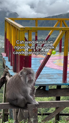 Nail Art Trends: Creative Press-On Designs in Sembalun