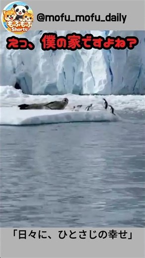 えっ、僕の家ですよね？