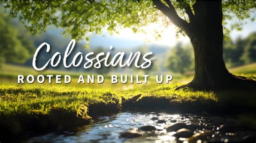 Colossians 1:9-14 - Knowing God and Flourishing