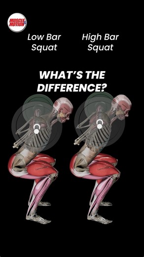 Muscle and Motion on Instagram: "High Bar vs. Low Bar Squat: Which One Should You Choose? 🏋️‍♂️ 🔹 High bar squat 📍 Bar placement: On the traps 🎯 Focus: Quad activation, upright posture ✅ Ideal for Beginners, Olympic lifters, and athletes 🤔 Why choose it? It is easier to learn and great for building knee strength and foundational technique 🔹 Low bar squat 📍 Bar placement: On the rear delts 🎯 Focus: Glutes, hamstrings, and hip dominance ✅ Ideal for Powerlifters and those aiming to lift hea