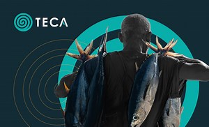 Triggering Exponential Climate Action (TECA)