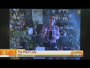 Plant Lady