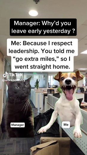Corporate Leadership Memes That Everyone Relates To