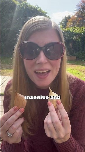 Big Cloves, Mellow Flavor! How To Plant Elephant Garlic